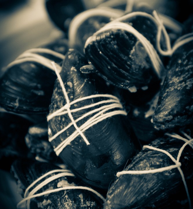 Cozze con ripieno di carne macinata